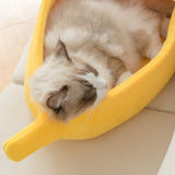 Panier Banane pour chat