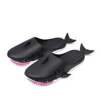 Claquettes Requin