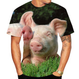 T-shirt Cochon