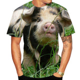 T-shirt Cochon